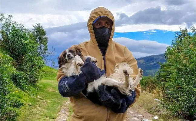 Centro municipal de acogida temporal de Mascotas del Cantón Mejía