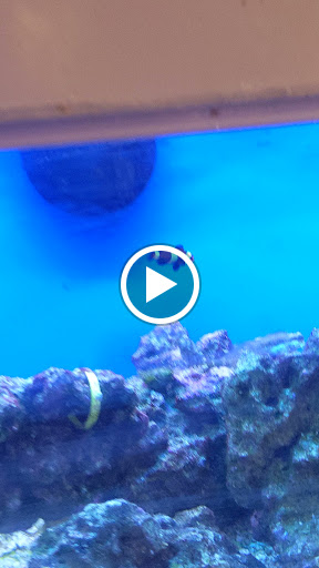 Pet Supply Store «Petco Animal Supplies», reviews and photos, 300 Hylan Dr, Rochester, NY 14623, USA