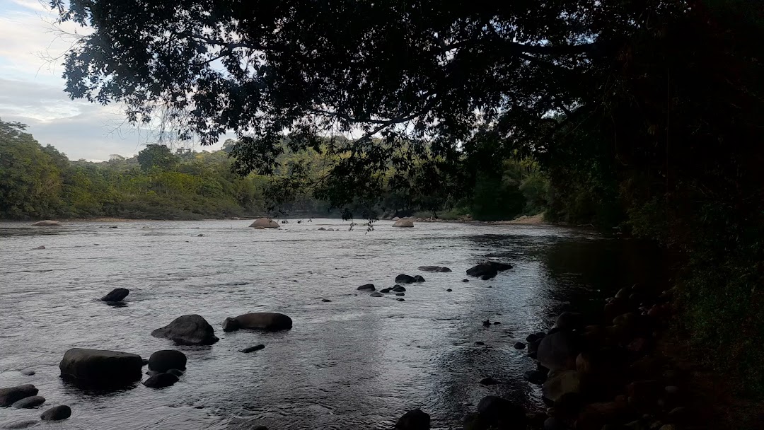 Rio naranjito