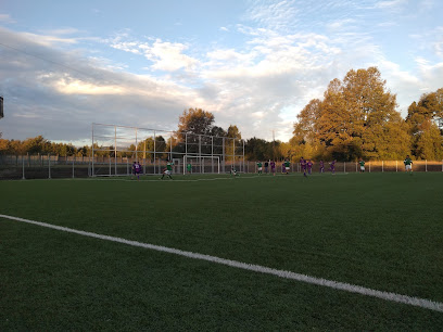 Estadio Municipal Cherquenco