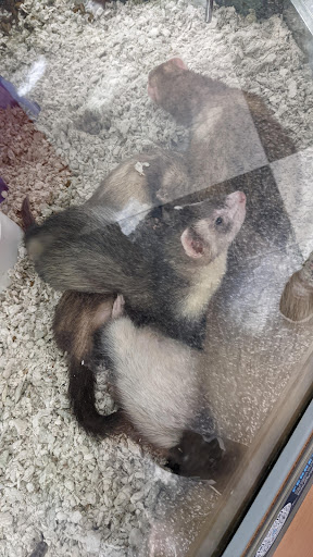 Pet Supply Store «Petco Animal Supplies», reviews and photos, 600 N Galleria Dr, Middletown, NY 10941, USA