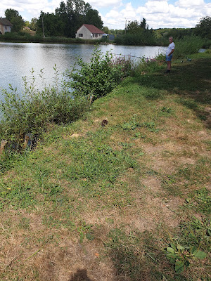 Etang Curtil Chaffin à Commenailles