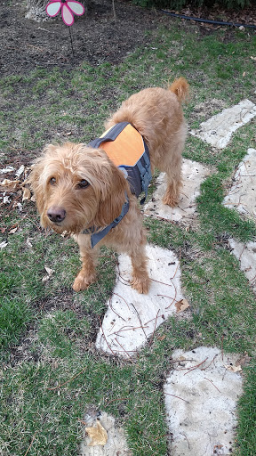 Pet Supply Store «Best Pets», reviews and photos, 905 Washington Ave, Detroit Lakes, MN 56501, USA