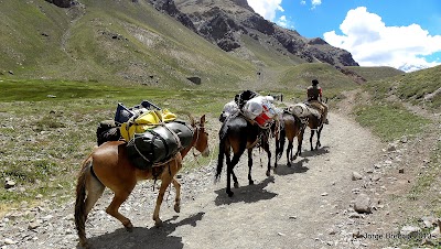 Photos of Parque Provincial Aconcagua