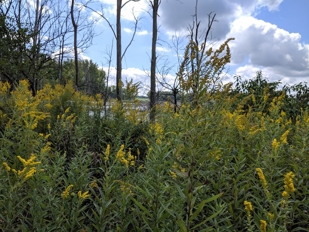 McCracken Fen State Nature Preserve