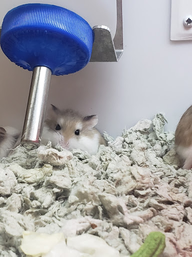 Pet Supply Store «Petco Animal Supplies», reviews and photos, 1483 NJ-23 #14b, Kinnelon, NJ 07405, USA