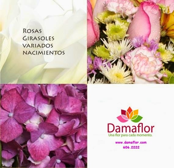 damaflor