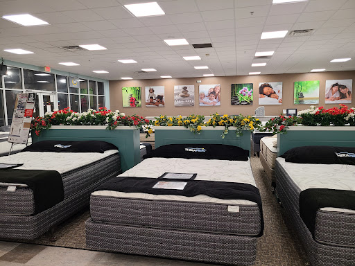 Appliance Store «Famous Tate Appliance & Bedding Centers», reviews and photos, 1015 E Brandon Blvd, Brandon, FL 33511, USA