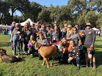 Butte Home Health & Hospice - Photo 7 - Car repair in Chico, CA, Chico
