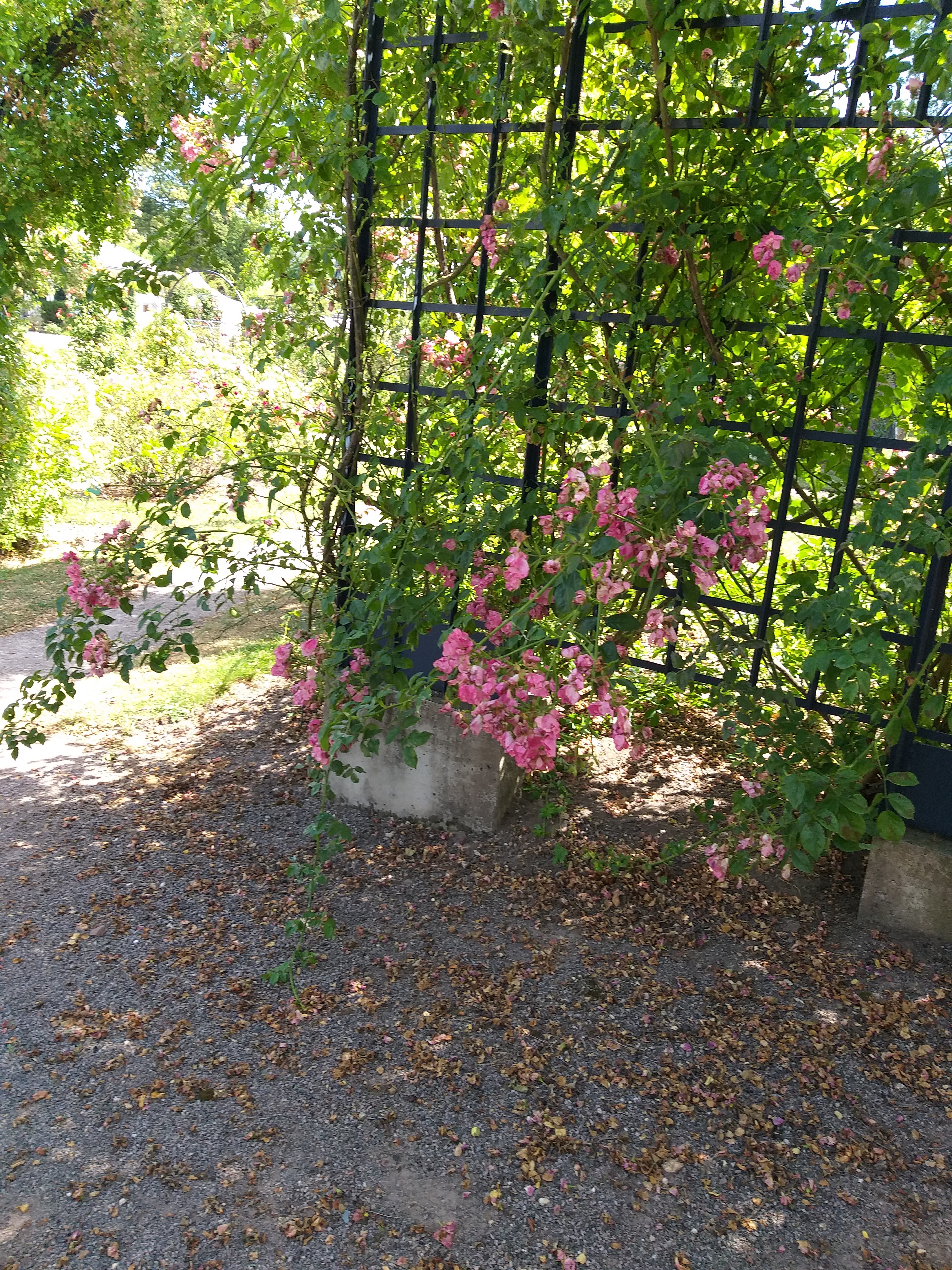 Photo n° 19 de l'avis de sabine.n fait le 23/07/2019 à 05:23