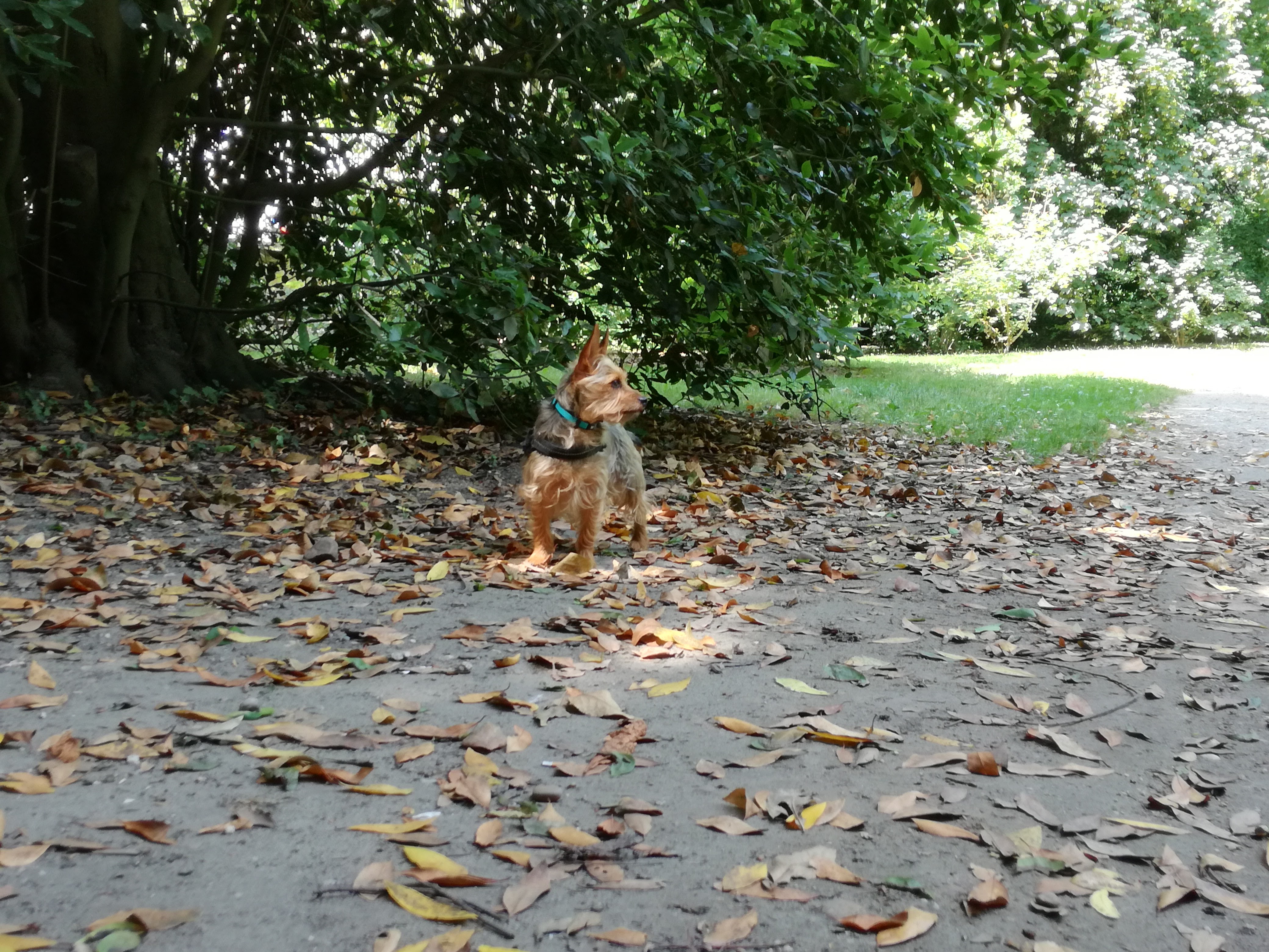 Photo n° 2 de l'avis de Estelle.o fait le 04/09/2016 à 09:11