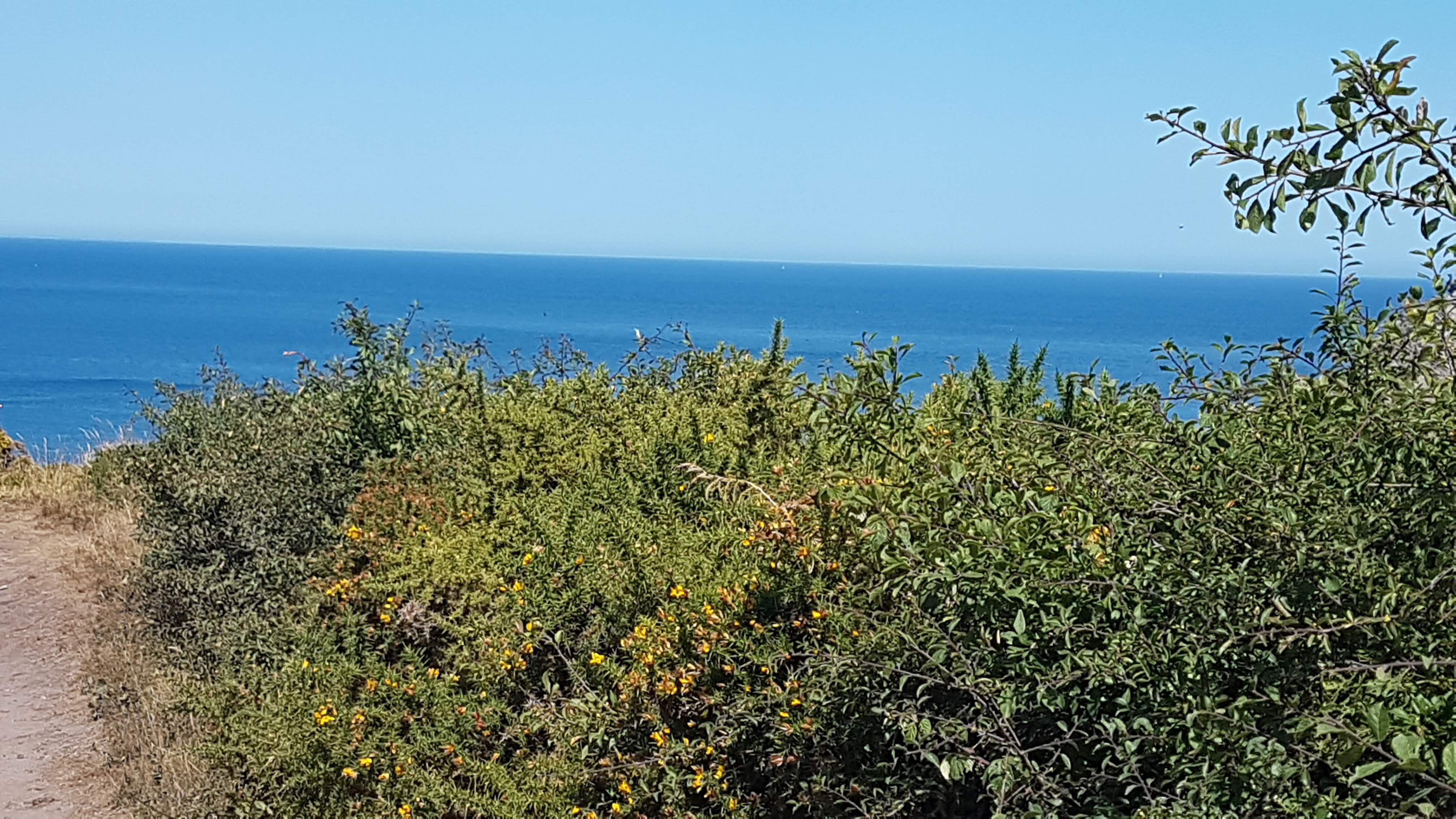 Photo n° 9 de l'avis de Corwin. fait le 17/07/2022 à 17:32