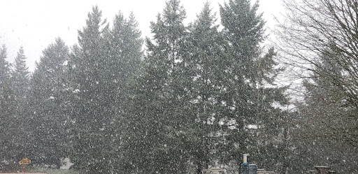 Park «Sacajawea Park», reviews and photos, 1401 S Dash Point Rd, Federal Way, WA 98003, USA