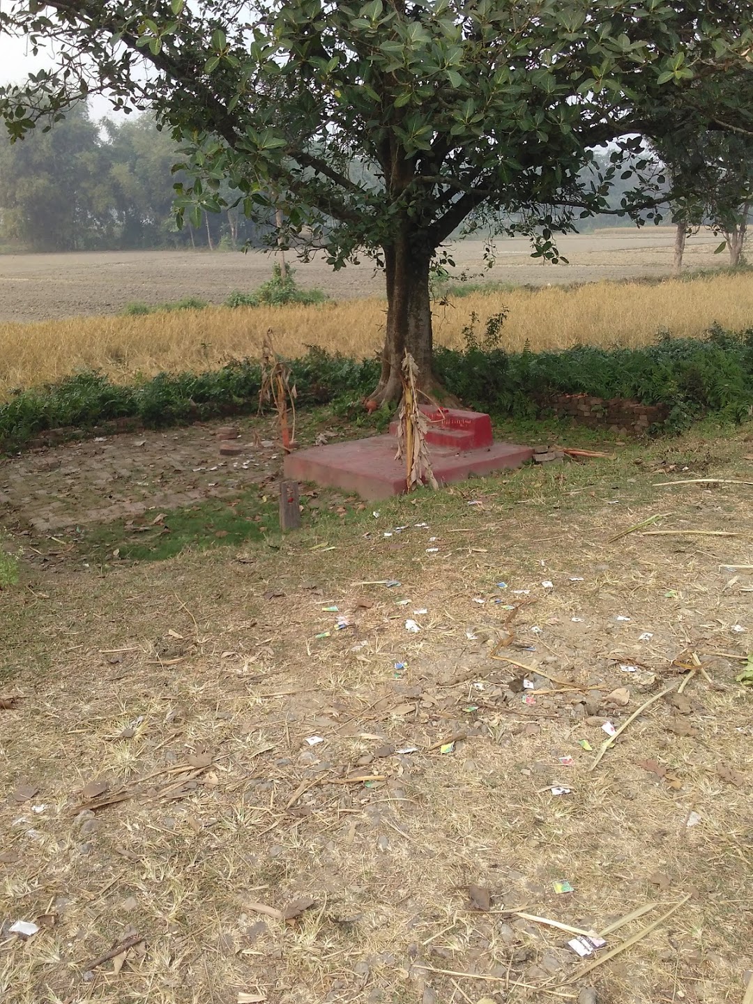 Kali Mandir