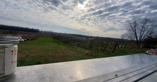 Vineyard «Iron Plow Vineyards», reviews and photos, 26750 Mt Pleasant Rd, Columbus, NJ 08022, USA