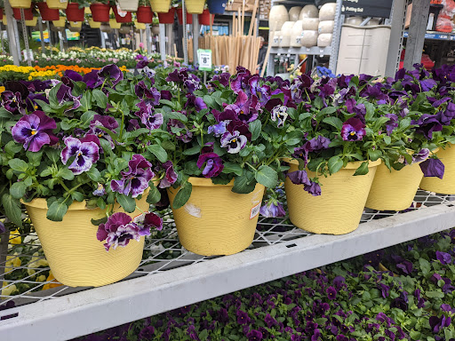 Home Improvement Store «The Home Depot», reviews and photos, 541 Kings Hwy Cutoff, Fairfield, CT 06824, USA