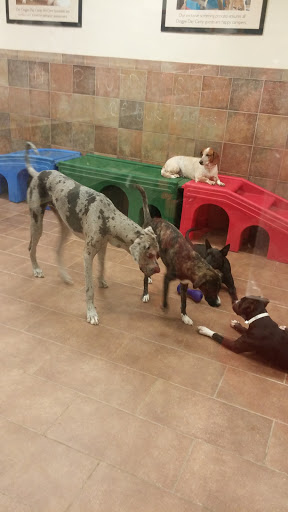 Pet Supply Store «PetSmart», reviews and photos, 5435 W TX-1604 Loop N, San Antonio, TX 78253, USA