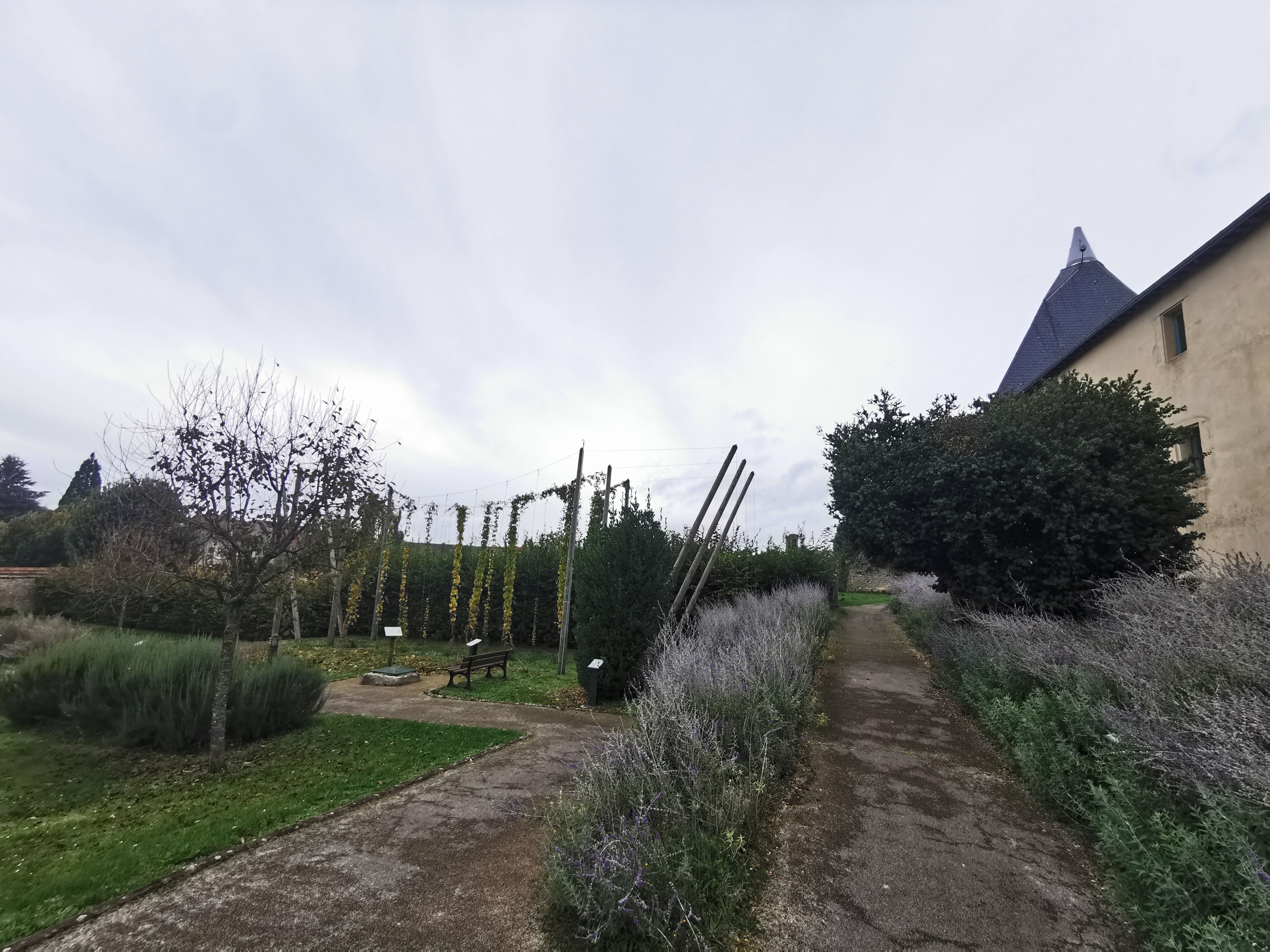 Photo n° 2 de l'avis de Phidis.a fait le 10/07/2019 à 18:28
