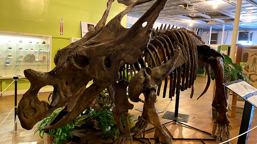 Buena Vista Museum of Natural History & Science