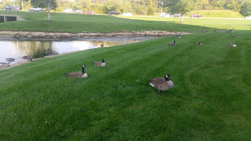 Hotel «Hyatt Place Kansas City/Overland Park/Metcalf», reviews and photos