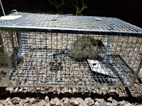 Texas Pest & Wildlife - Photo 3 - Car repair in Spring, TX, The Woodlands