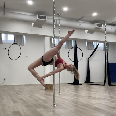 Sway Aerial Fitness