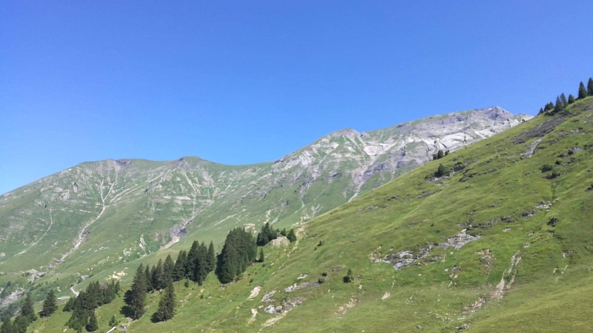 Photo n° 5 de l'avis de JG. fait le 22/07/2019 à 19:47