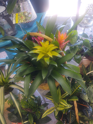 Florist «Archibald Flowers», reviews and photos, 9688 E Foothill Blvd, Rancho Cucamonga, CA 91730, USA