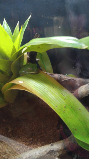 Zoo «Lake Superior Zoo», reviews and photos, 7210 Fremont St, Duluth, MN 55807, USA