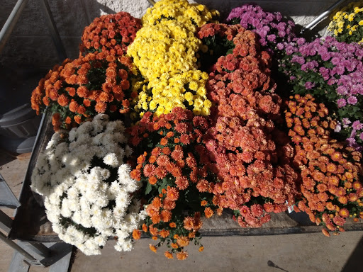 Discount Store «Walmart», reviews and photos, 1360 Town Centre Dr, Eagan, MN 55123, USA