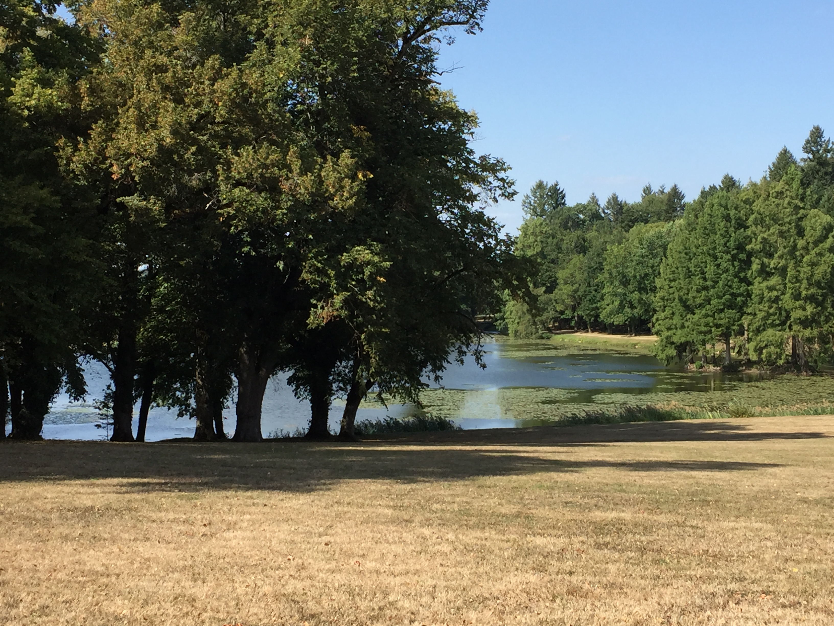 Photo n° 7 de l'avis de MIMY.U fait le 21/09/2019 à 18:17