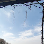 Photo n°2 de l'avis de Majewicz. fait le 23/03/2023 à 11:50 sur le  Ristorante Pizzeria San Vigilio à Bergamo