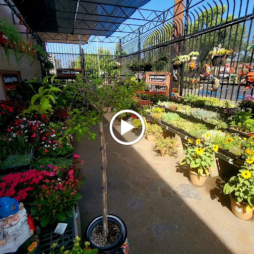 Hardware Store «DIY Center», reviews and photos, 3221 W Magnolia Blvd, Burbank, CA 91505, USA