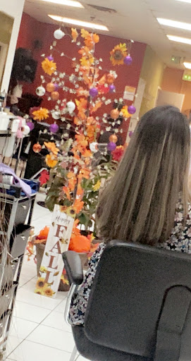 Hair Salon «NewImage Hair Salon», reviews and photos, 378 S Pickett St, Alexandria, VA 22304, USA