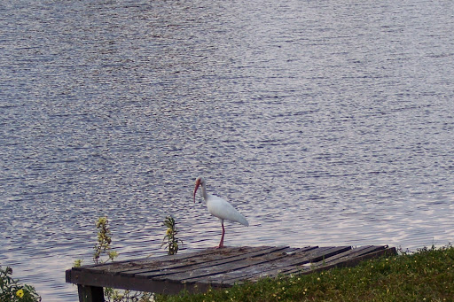 Recreation Center «Timberlane Recreation Center», reviews and photos, 10210 Westgate Dr, Tampa, FL 33615, USA