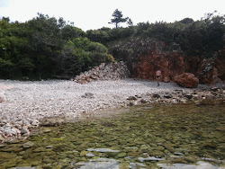 Dugno beach'in fotoğrafı kirli temizlik seviyesi ile