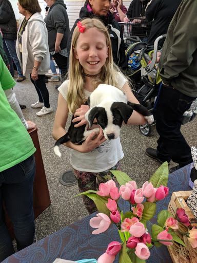 Animal Shelter «BrightSide Animal Center (formerly Humane Society of Redmond)», reviews and photos