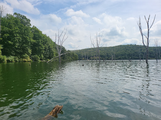 Tourist Attraction «Monksville reservoir», reviews and photos, 111 Beech Rd, Hewitt, NJ 07421, USA