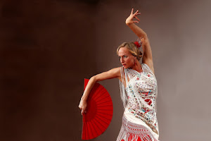 Masflamenco - flamencolessen, workshops, optredens en feesten