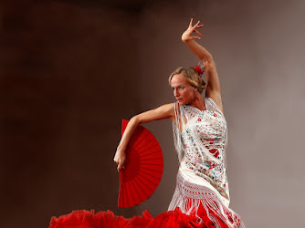Masflamenco - flamencolessen, workshops, optredens en feesten