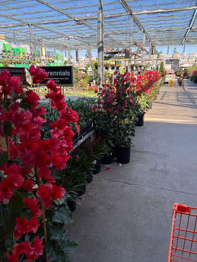 Home Improvement Store «The Home Depot», reviews and photos, 5631 Lone Tree Way, Brentwood, CA 94513, USA