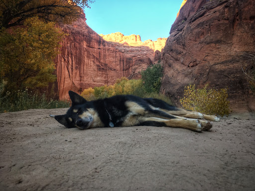 Outdoor Sports Store «Leadville Outdoors and Mountain Market», reviews and photos, 225 Harrison Ave, Leadville, CO 80461, USA