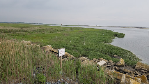 Nature Preserve «DuPont Nature Center», reviews and photos, 2992 Lighthouse Rd, Milford, DE 19963, USA