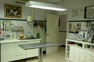 Clínica Veterinaria Andalucía image