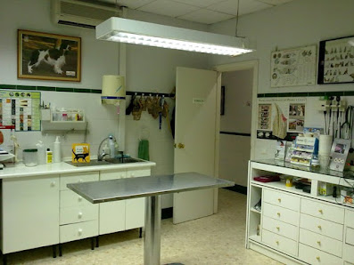 Clínica Veterinaria Andalucía C. Federico Ruiz Vertedor, 3, 29640 Fuengirola, Málaga, España