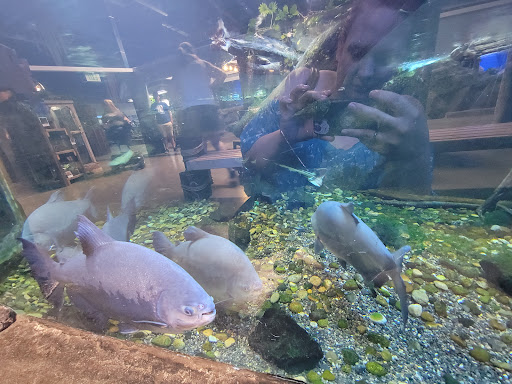 Aquarium «Aquarium of Boise», reviews and photos, 64 N Cole Rd, Boise, ID 83704, USA