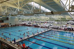 Basildon & Phoenix Swimming Club image