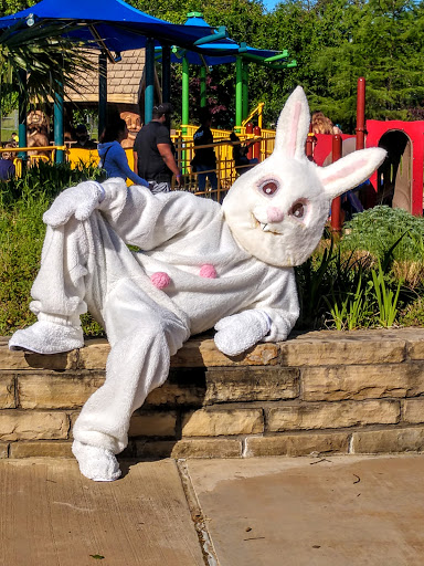 Park «Cottonwood Park», reviews and photos, 4051 N Story Rd, Irving, TX 75038, USA