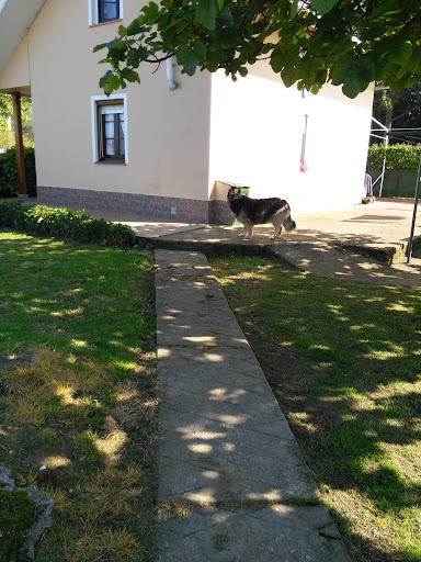 Michel Veterinario en Luarca