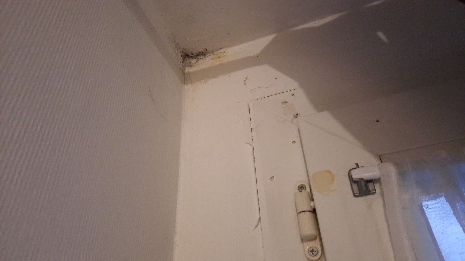 Photo n° 3 de l'avis de Nedji.u fait le 03/03/2023 à 17:38